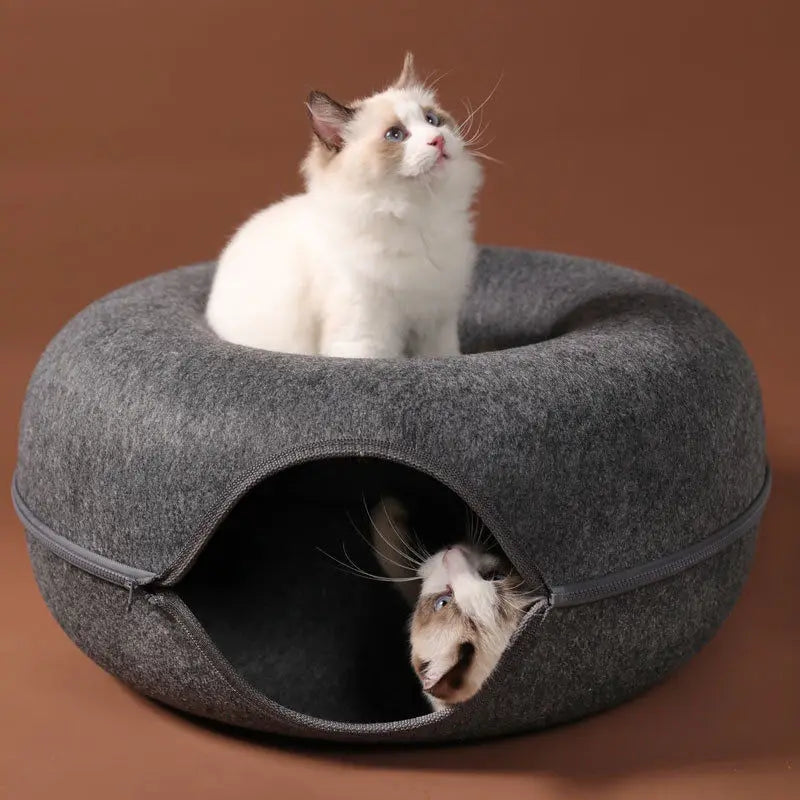 Dual-Use Cat Tunnel & Donut Bed – Interactive Toy and Cozy Bed for Indoor Kittens